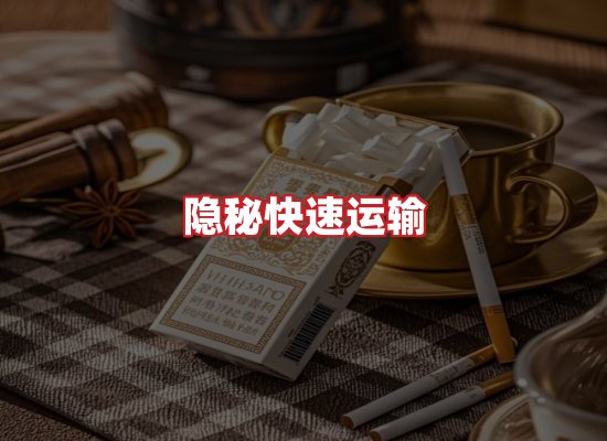 专业团队